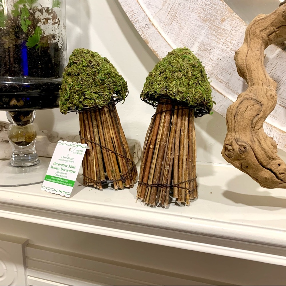NWT Wicker & Moss Mushrooms - Picture 2 of 3